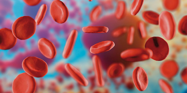 Iron is found in the haemoglobin of our red blood cells.