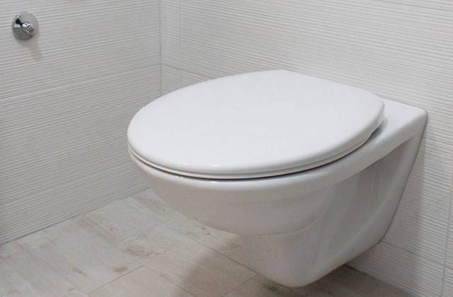 Toilet in bathroom. Mould can be a common and potentially dangerous problem in New Zealand homes.