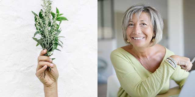 Skybright Swedish Bitters. Woman and herbs.