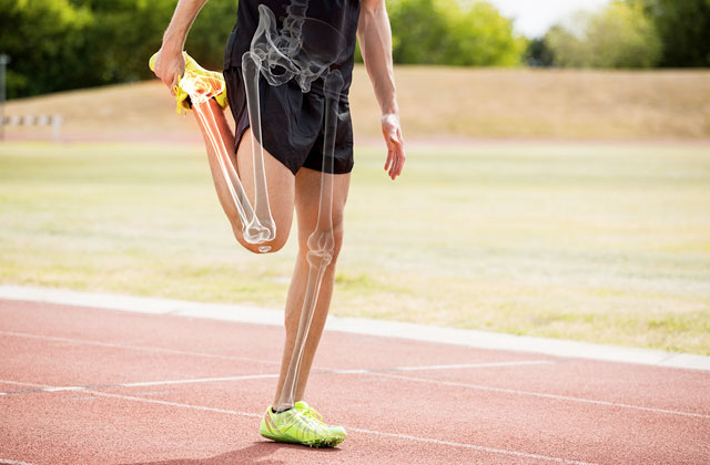 Athlete stretching on running track. About 60% of the magnesium in your body is found in bone, with the other 40% found in muscles.